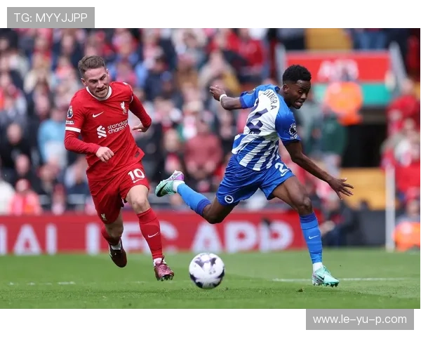 布莱顿新赛季前景被看好或稳中有升