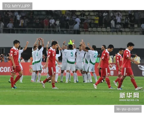 爱尔兰国家队强势挺进世界杯预选赛，球迷热盼再创佳绩